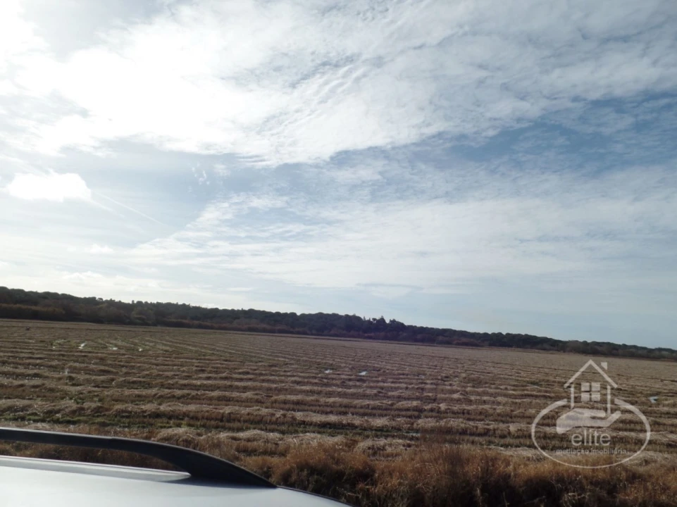 Quinta para Venda em Poceirão e Marateca Foto 3
