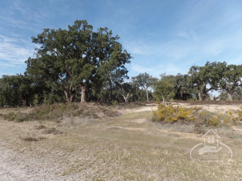 Quinta para Venda em Poceirão e Marateca Foto 6