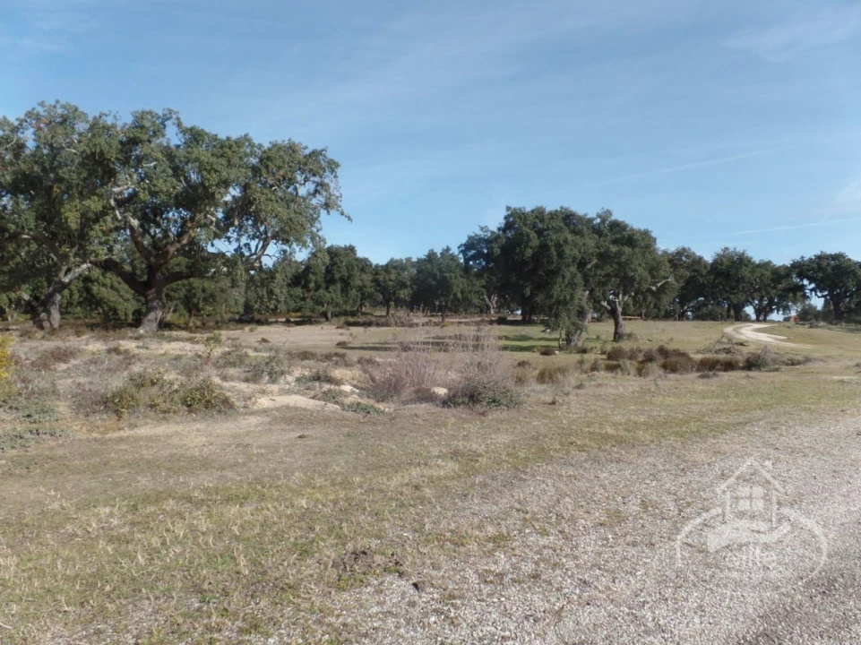 Quinta para Venda em Poceirão e Marateca Foto 7