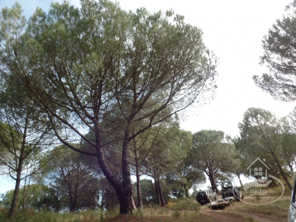 Quinta para Venda em Poceirão e Marateca Foto 23