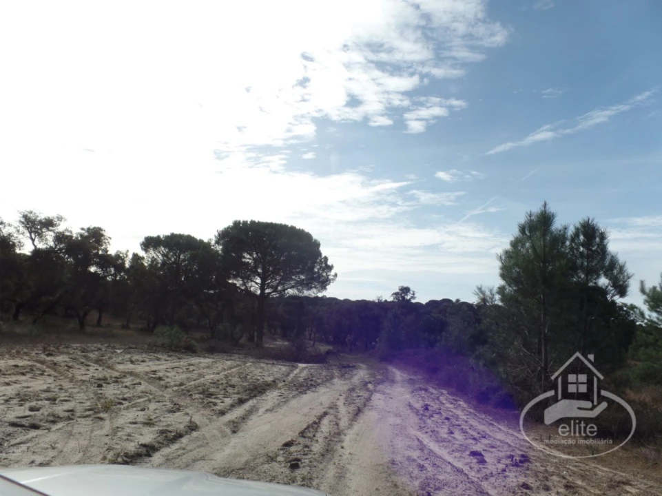 Quinta para Venda em Poceirão e Marateca Foto 29