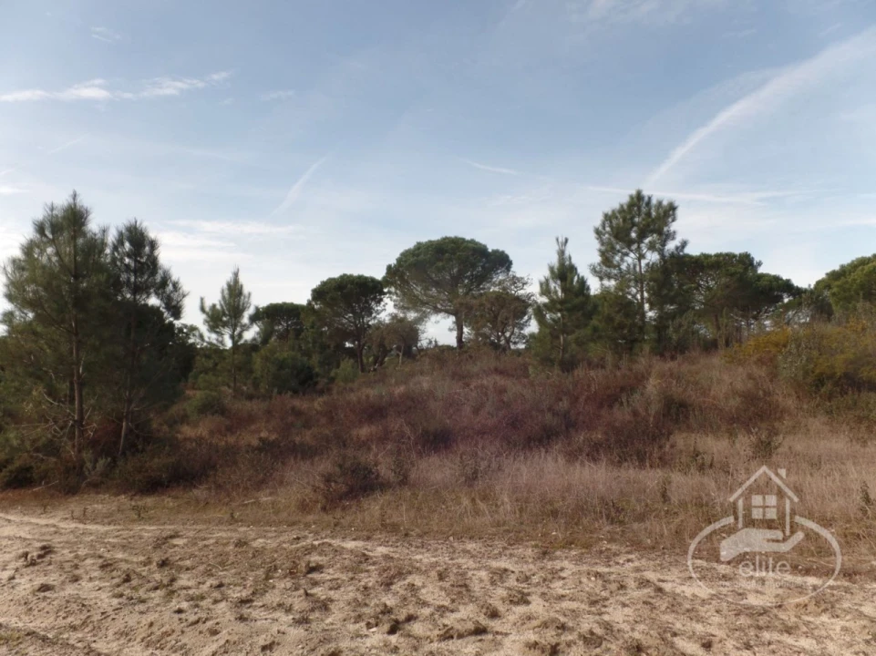 Quinta para Venda em Poceirão e Marateca Foto 30