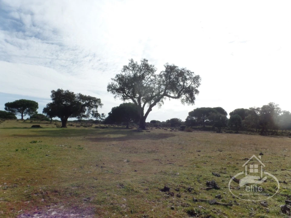 Quinta para Venda em Poceirão e Marateca Foto 32