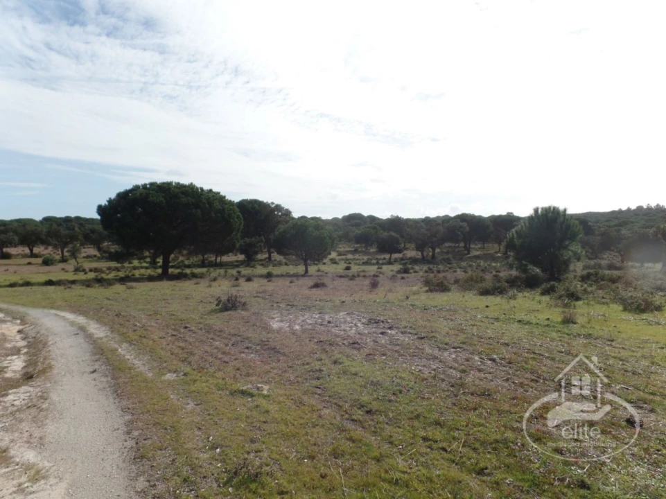 Quinta para Venda em Poceirão e Marateca Foto 35