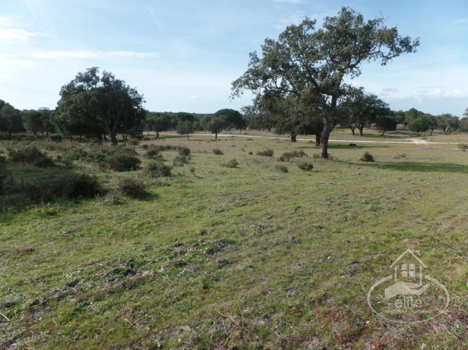 Quinta para Venda em Poceirão e Marateca Foto 37