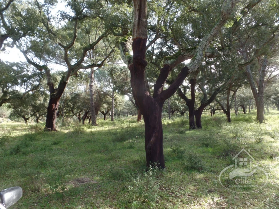 Quinta para Venda em Poceirão e Marateca Foto 45
