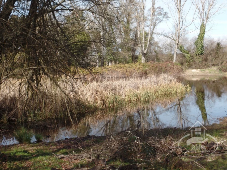 Quinta para Venda em Poceirão e Marateca Foto 47