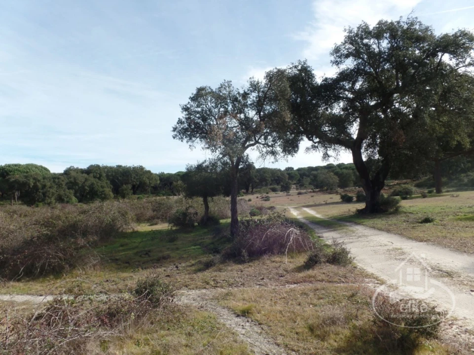 Quinta para Venda em Poceirão e Marateca Foto 50