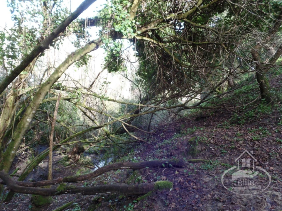 Quinta para Venda em Poceirão e Marateca Foto 51