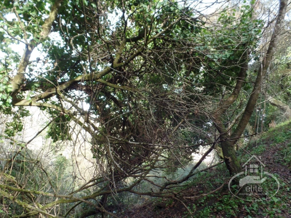 Quinta para Venda em Poceirão e Marateca Foto 54