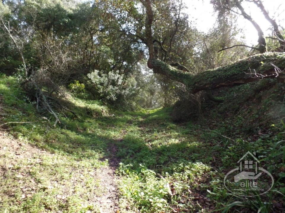 Quinta para Venda em Poceirão e Marateca Foto 55