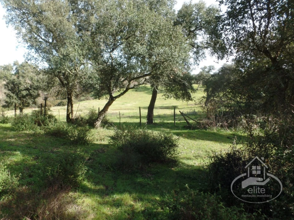 Quinta para Venda em Poceirão e Marateca Foto 57