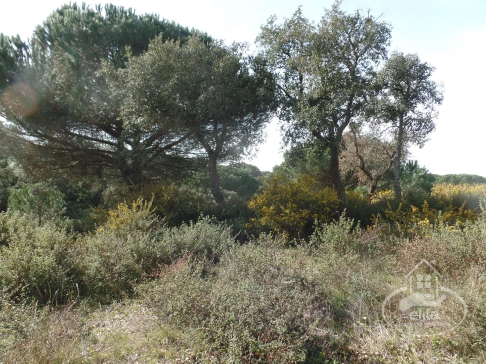 Quinta para Venda em Poceirão e Marateca Foto 61