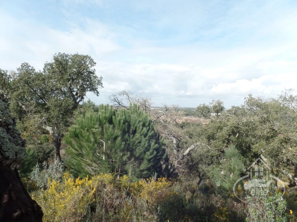 Quinta para Venda em Poceirão e Marateca Foto 63