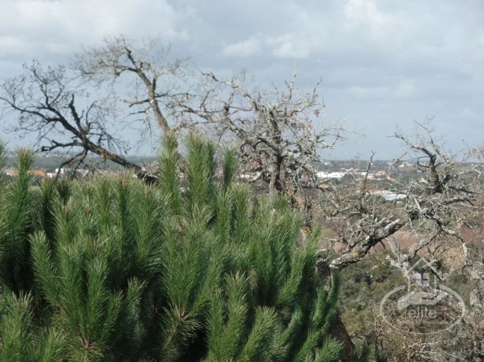 Quinta para Venda em Poceirão e Marateca Foto 64