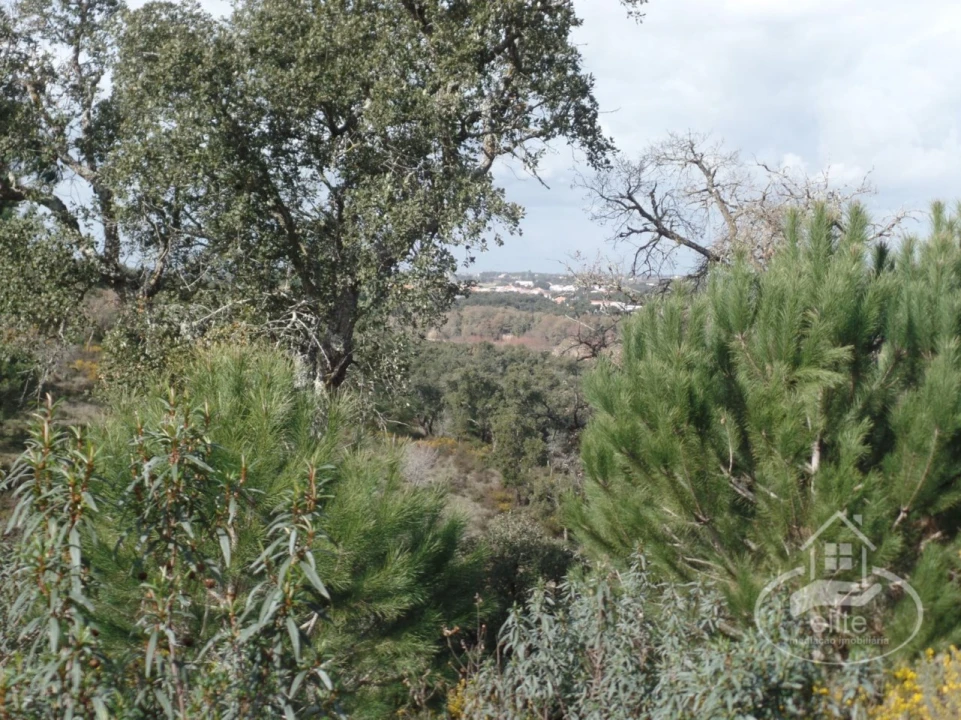 Quinta para Venda em Poceirão e Marateca Foto 65