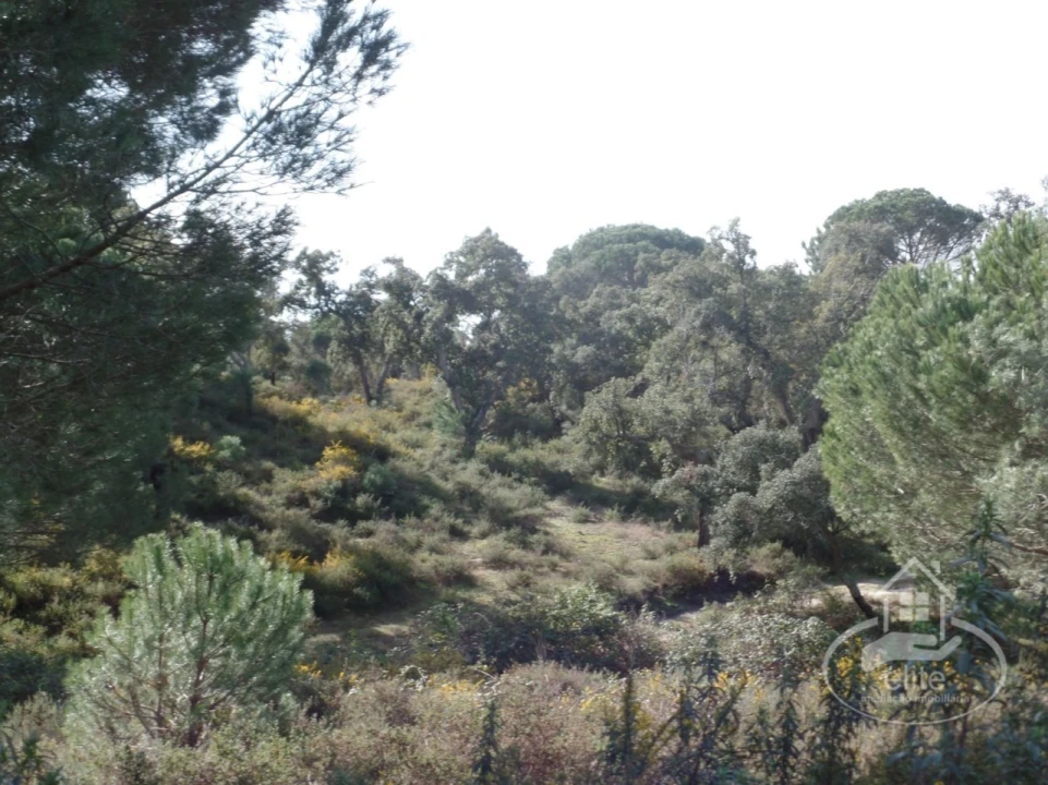 Quinta para Venda em Poceirão e Marateca Foto 67
