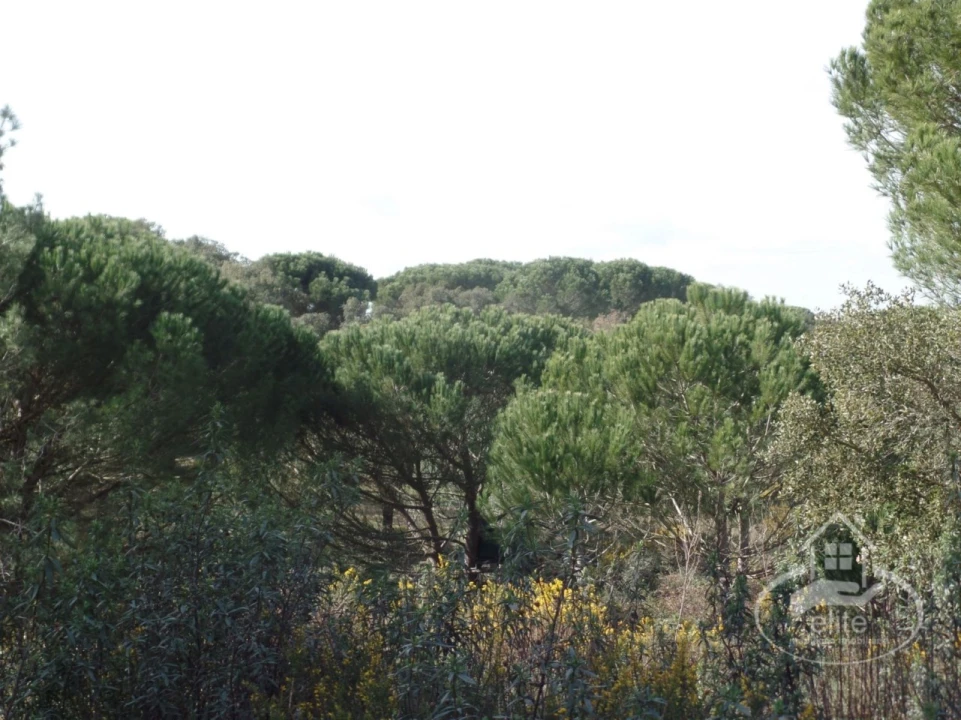 Quinta para Venda em Poceirão e Marateca Foto 68