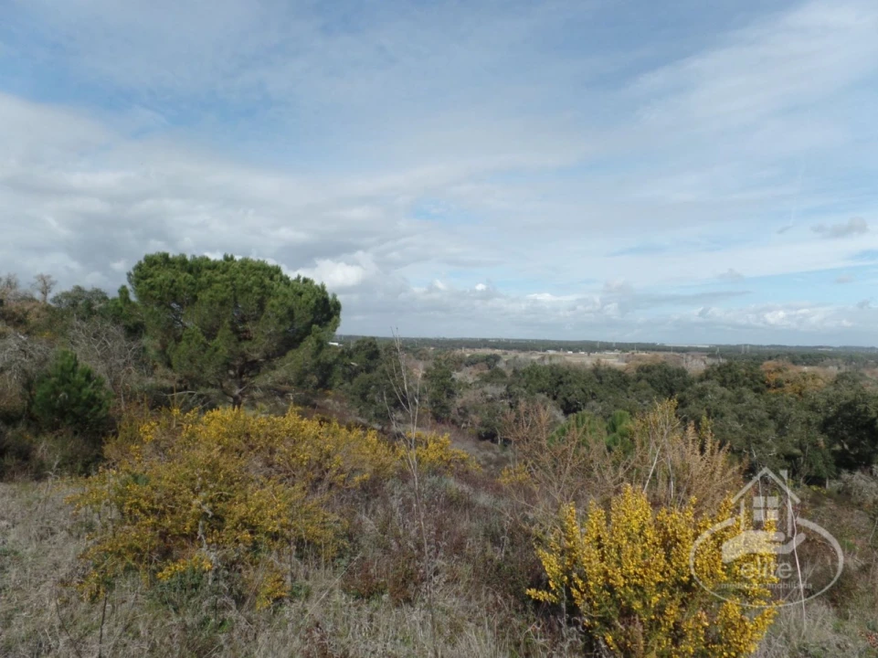 Quinta para Venda em Poceirão e Marateca Foto 72