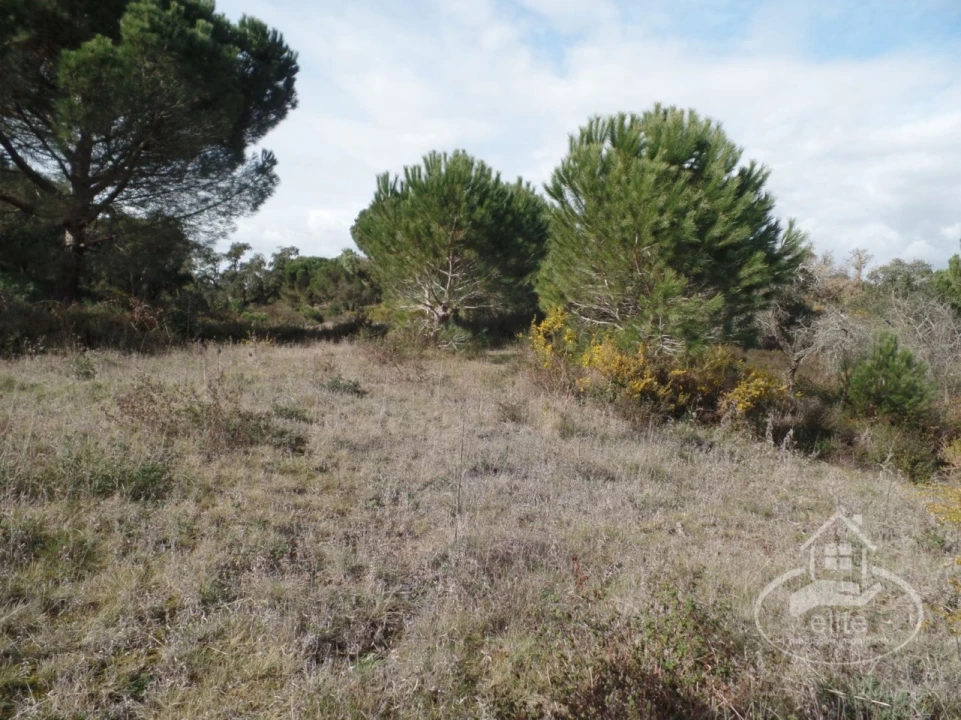Quinta para Venda em Poceirão e Marateca Foto 73