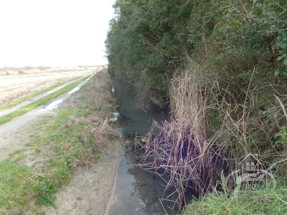 Quinta para Venda em Poceirão e Marateca Foto 81