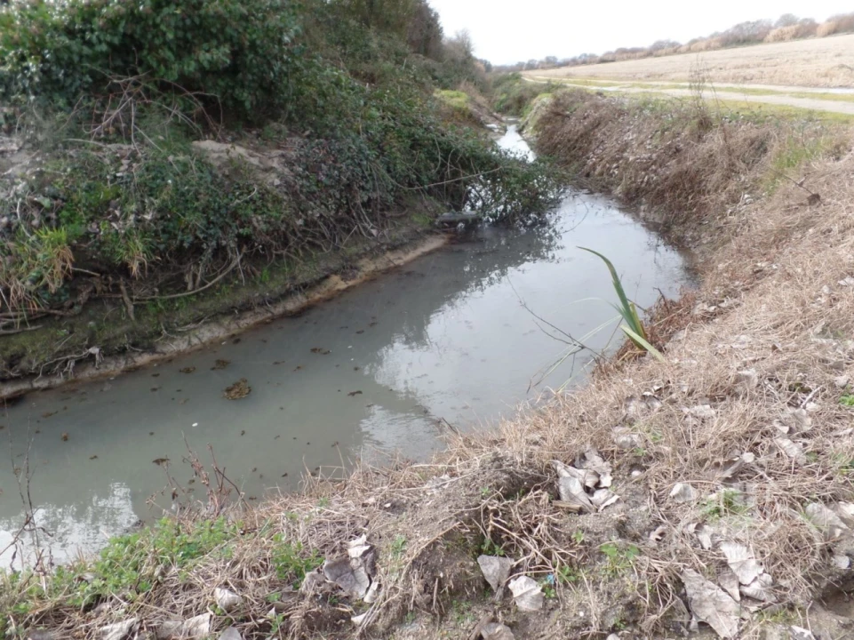 Quinta para Venda em Poceirão e Marateca Foto 85