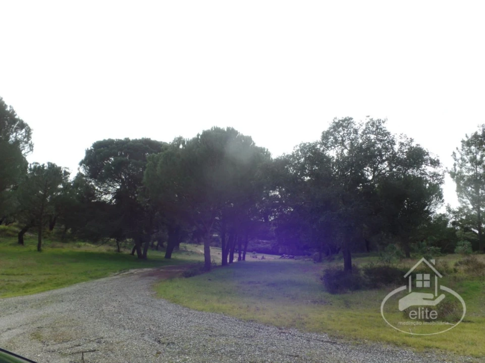 Quinta para Venda em Poceirão e Marateca Foto 92