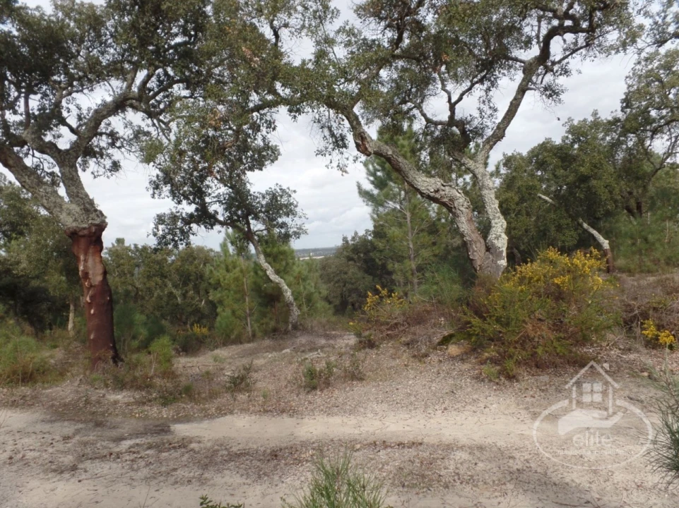 Quinta para Venda em Poceirão e Marateca Foto 94