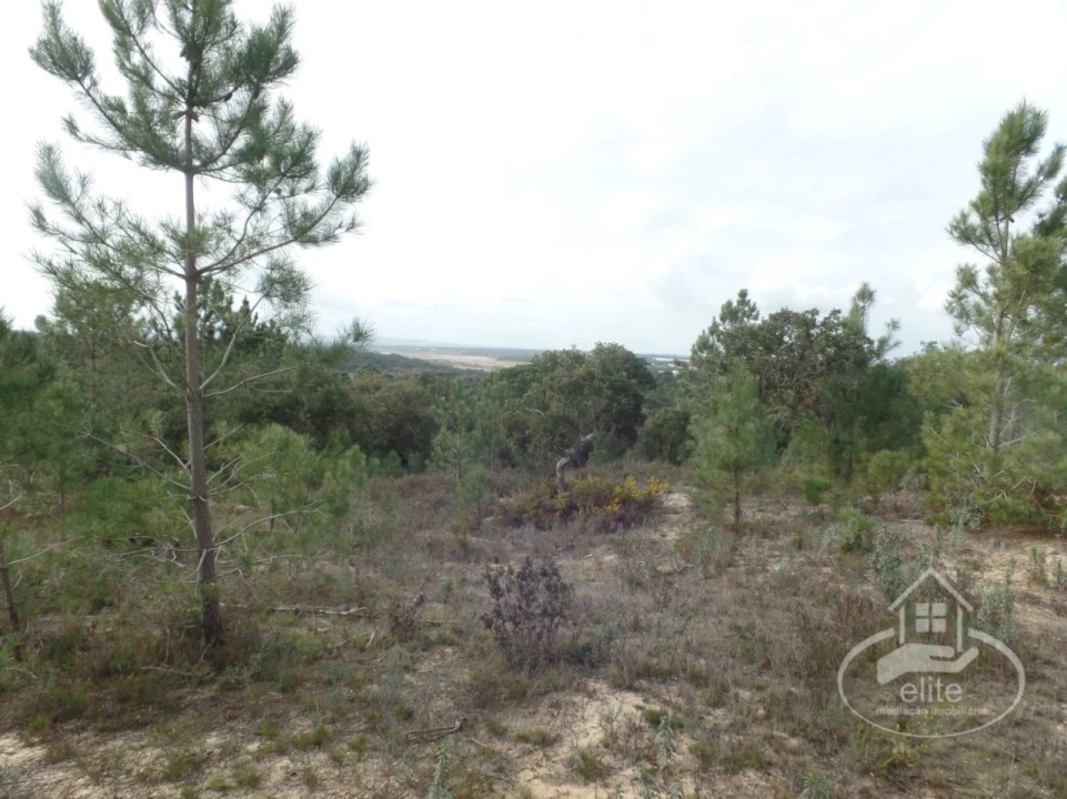 Quinta para Venda em Poceirão e Marateca Foto 95