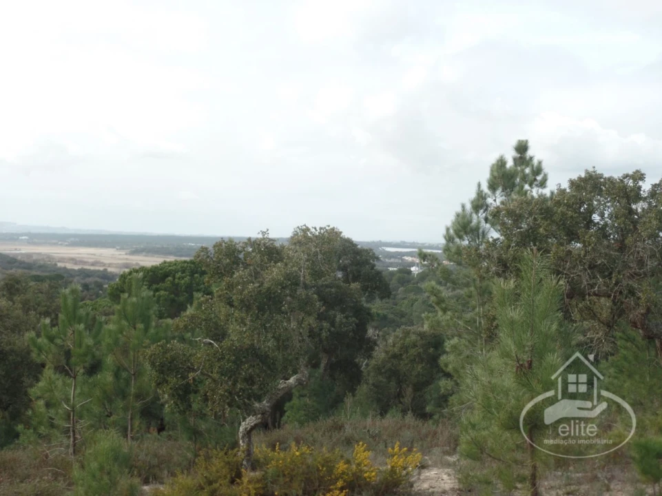 Quinta para Venda em Poceirão e Marateca Foto 97