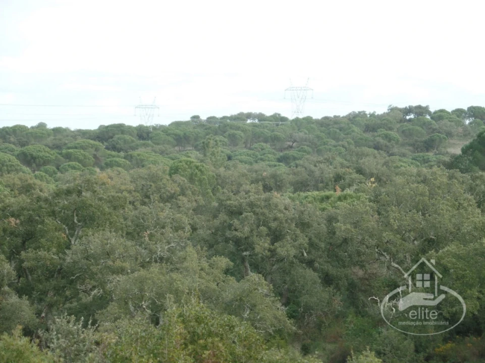 Quinta para Venda em Poceirão e Marateca Foto 99