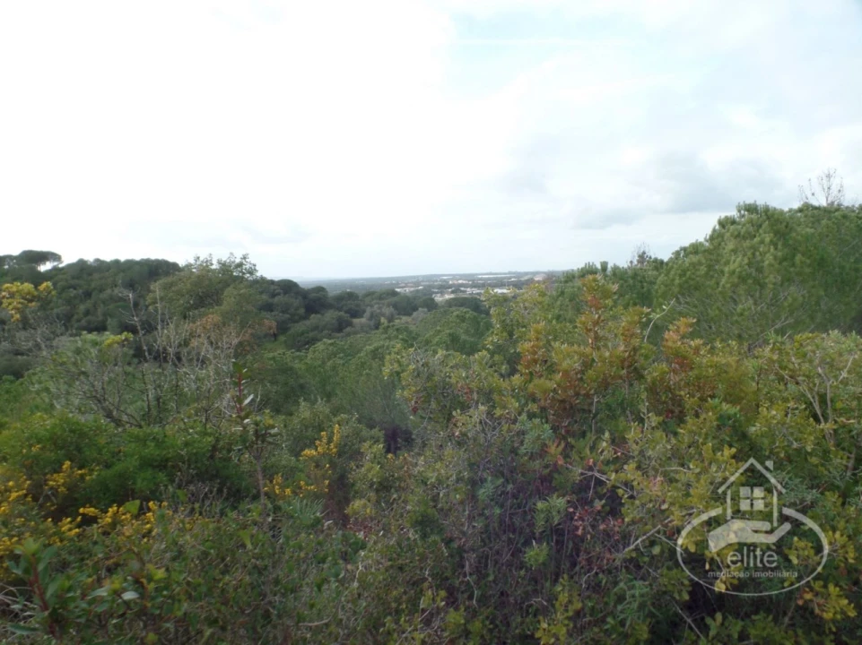 Quinta para Venda em Poceirão e Marateca Foto 100