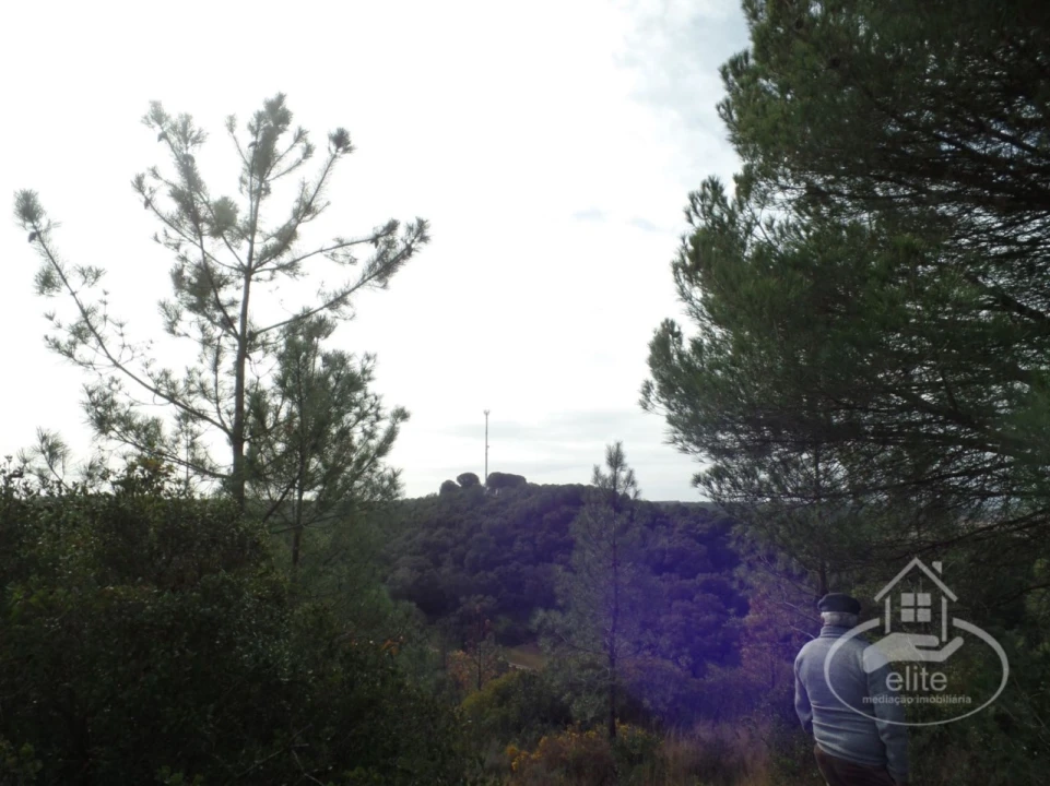 Quinta para Venda em Poceirão e Marateca Foto 105