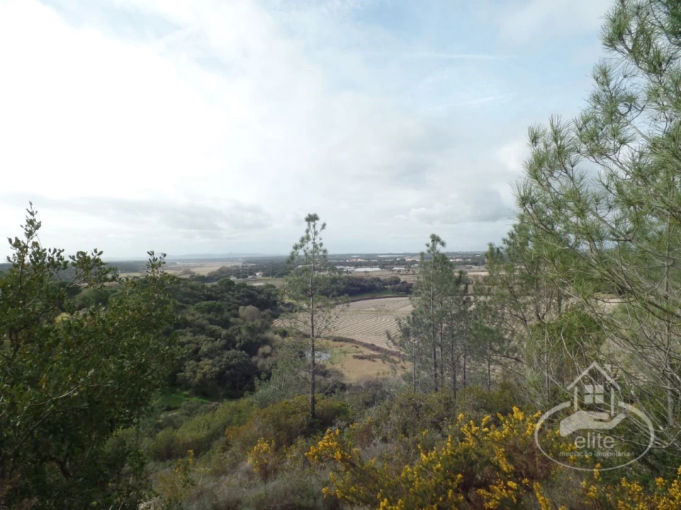 Quinta para Venda em Poceirão e Marateca Foto 107