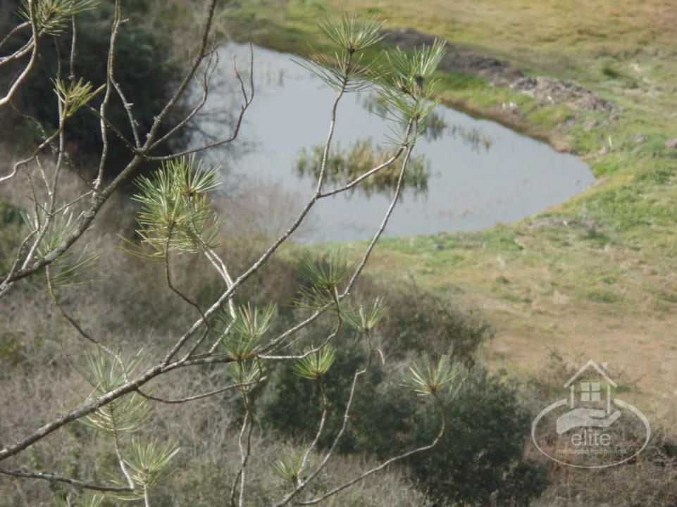 Quinta para Venda em Poceirão e Marateca Foto 114