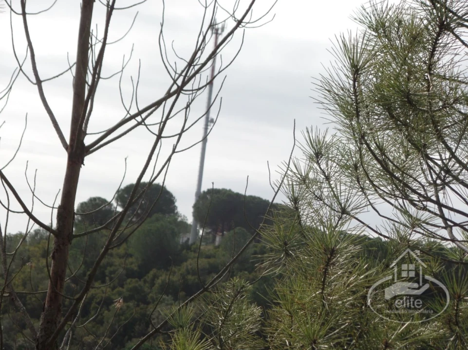 Quinta para Venda em Poceirão e Marateca Foto 115