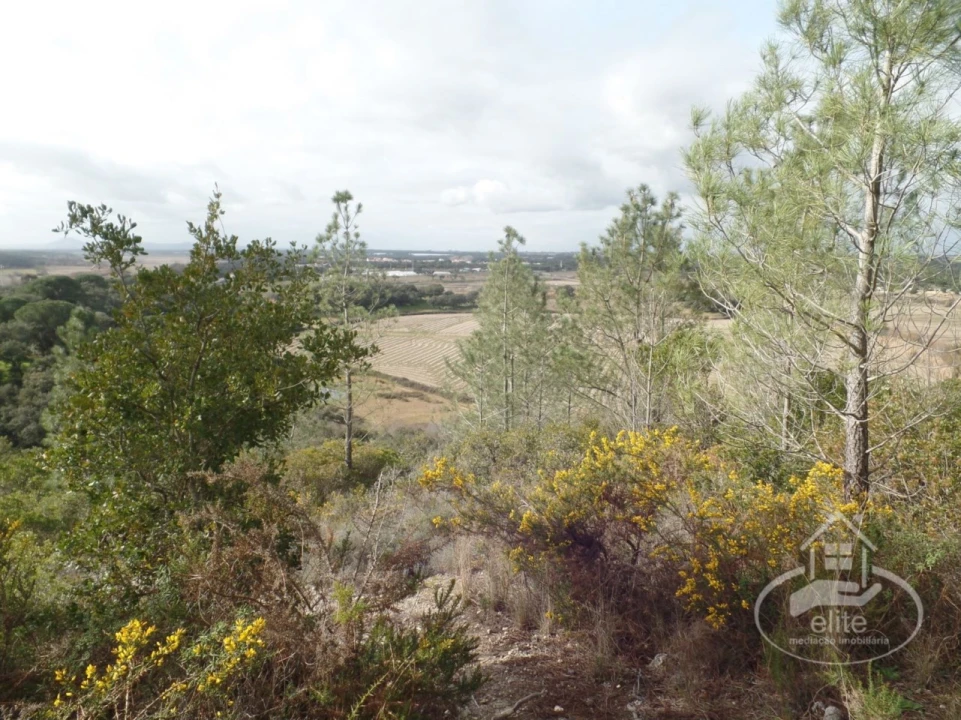 Quinta para Venda em Poceirão e Marateca Foto 117