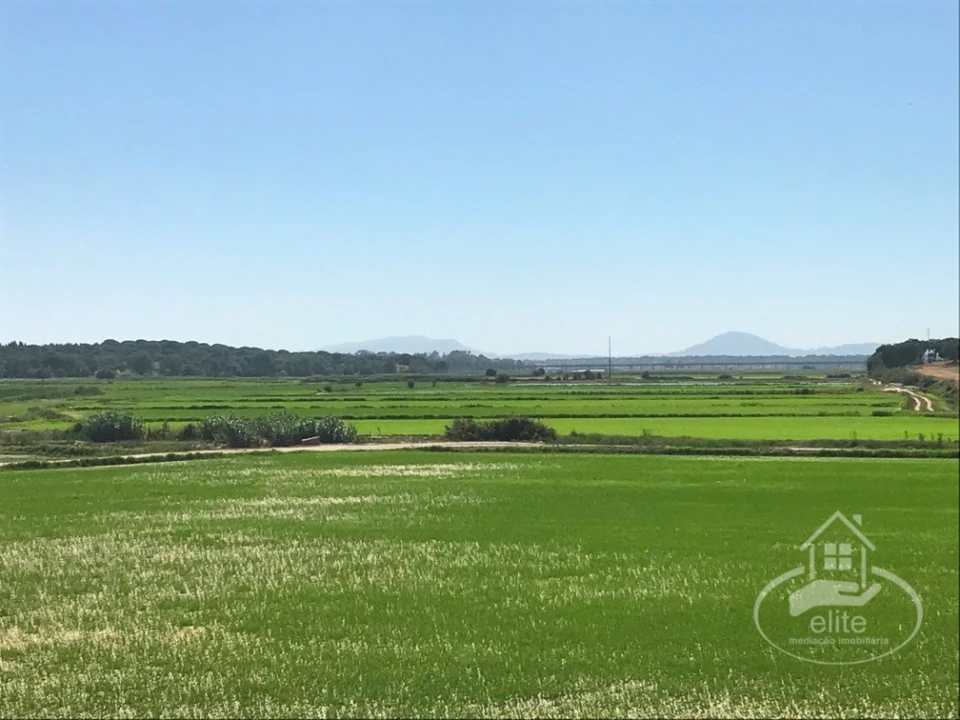 Quinta para Venda em Poceirão e Marateca Foto 2