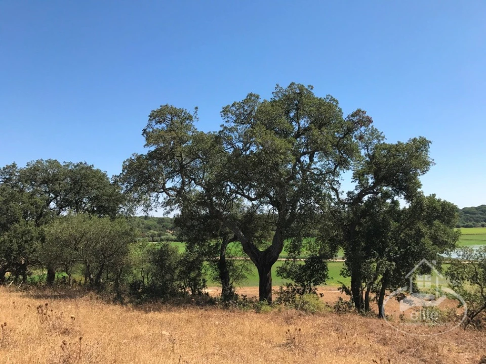 Quinta para Venda em Poceirão e Marateca Foto 126