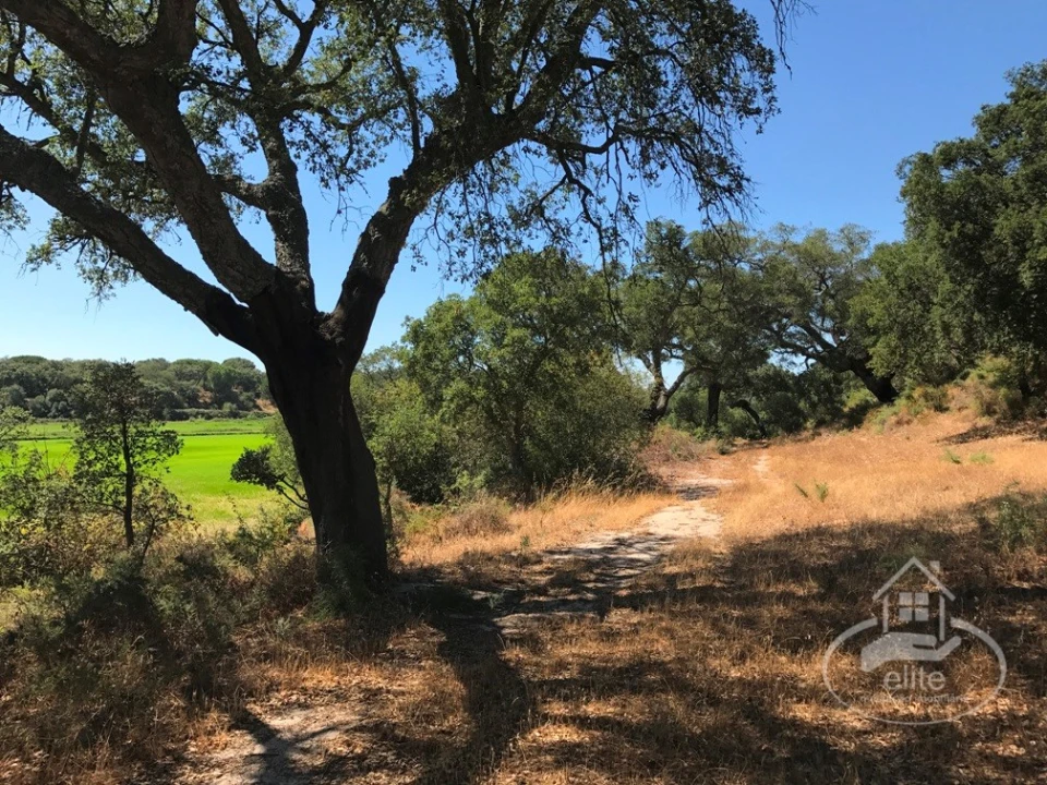 Quinta para Venda em Poceirão e Marateca Foto 128