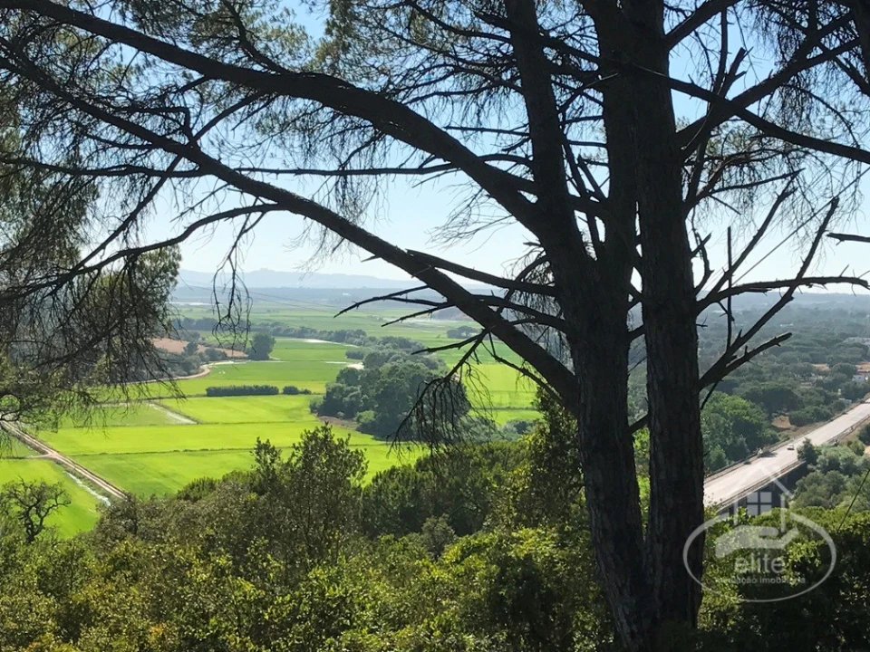 Quinta para Venda em Poceirão e Marateca Foto 129