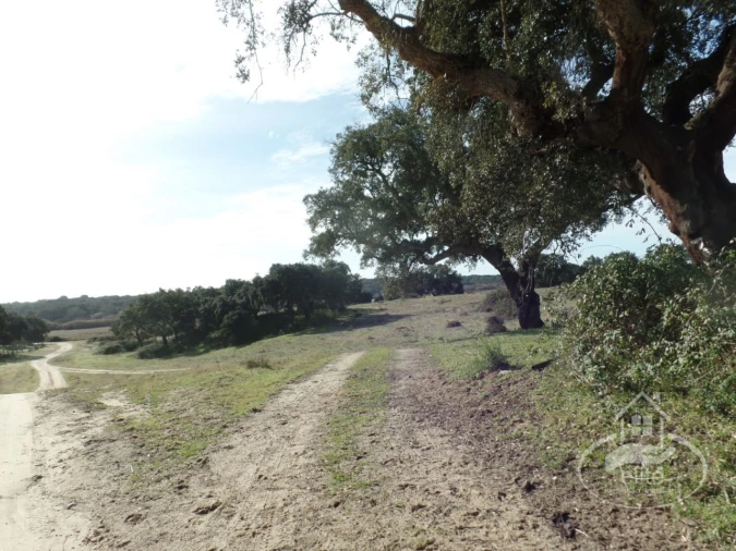 Quinta para Venda em Poceirão e Marateca Foto 4