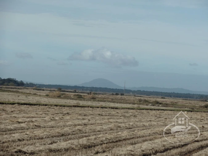Quinta para Venda em Poceirão e Marateca Foto 5