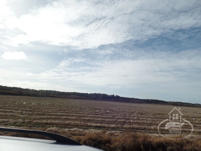 Quinta para Venda em Poceirão e Marateca Foto 3