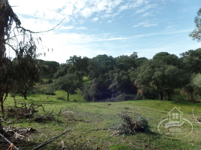 Quinta para Venda em Poceirão e Marateca Foto 9