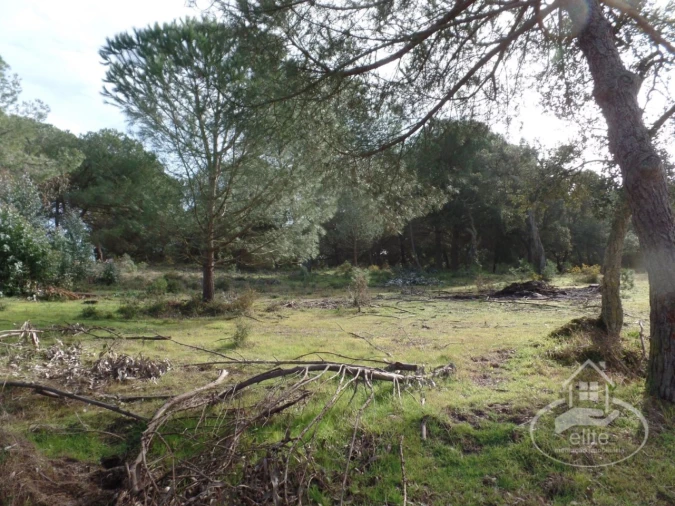 Quinta para Venda em Poceirão e Marateca Foto 10