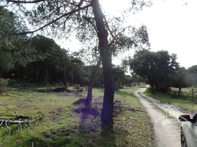 Quinta para Venda em Poceirão e Marateca Foto 11