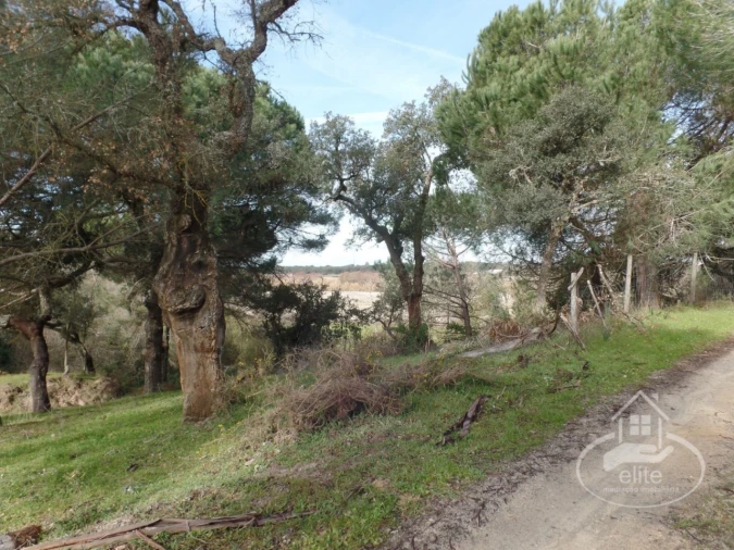 Quinta para Venda em Poceirão e Marateca Foto 12