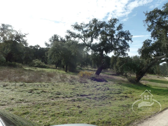 Quinta para Venda em Poceirão e Marateca Foto 15
