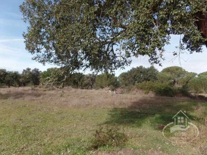 Quinta para Venda em Poceirão e Marateca Foto 17